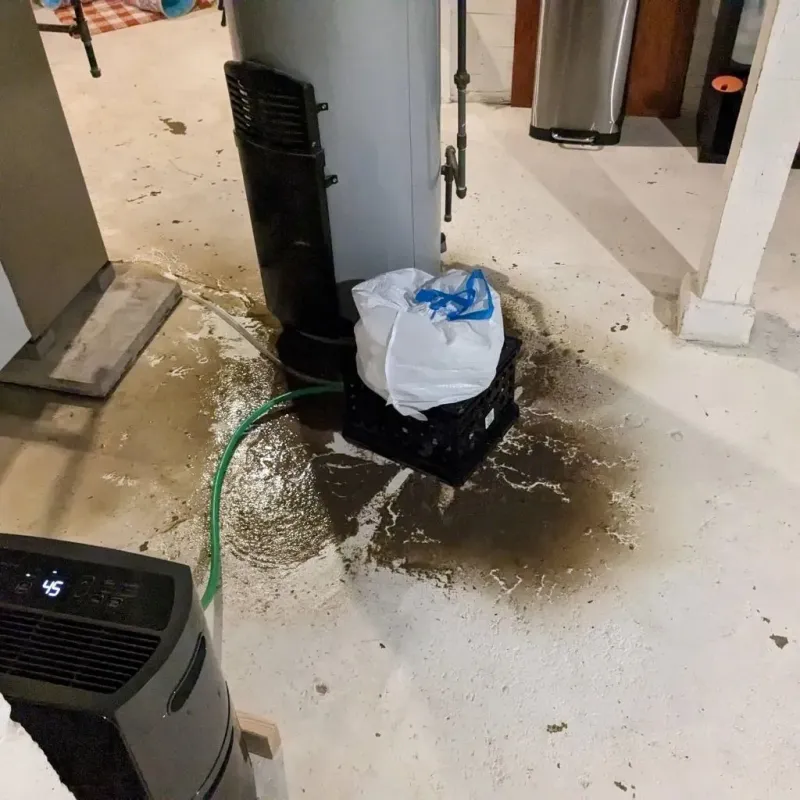 Sewage Backup Cleanup Service in Parksdale, CA